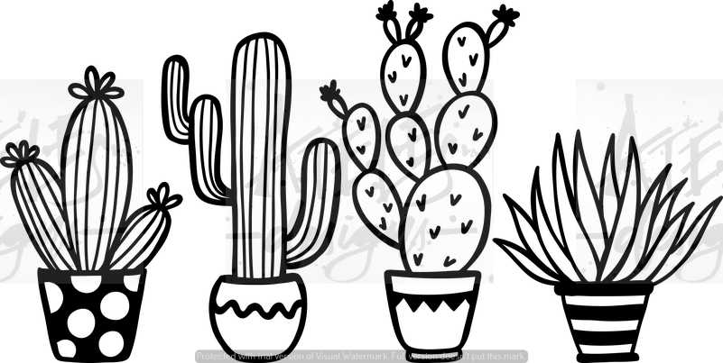 Cacti