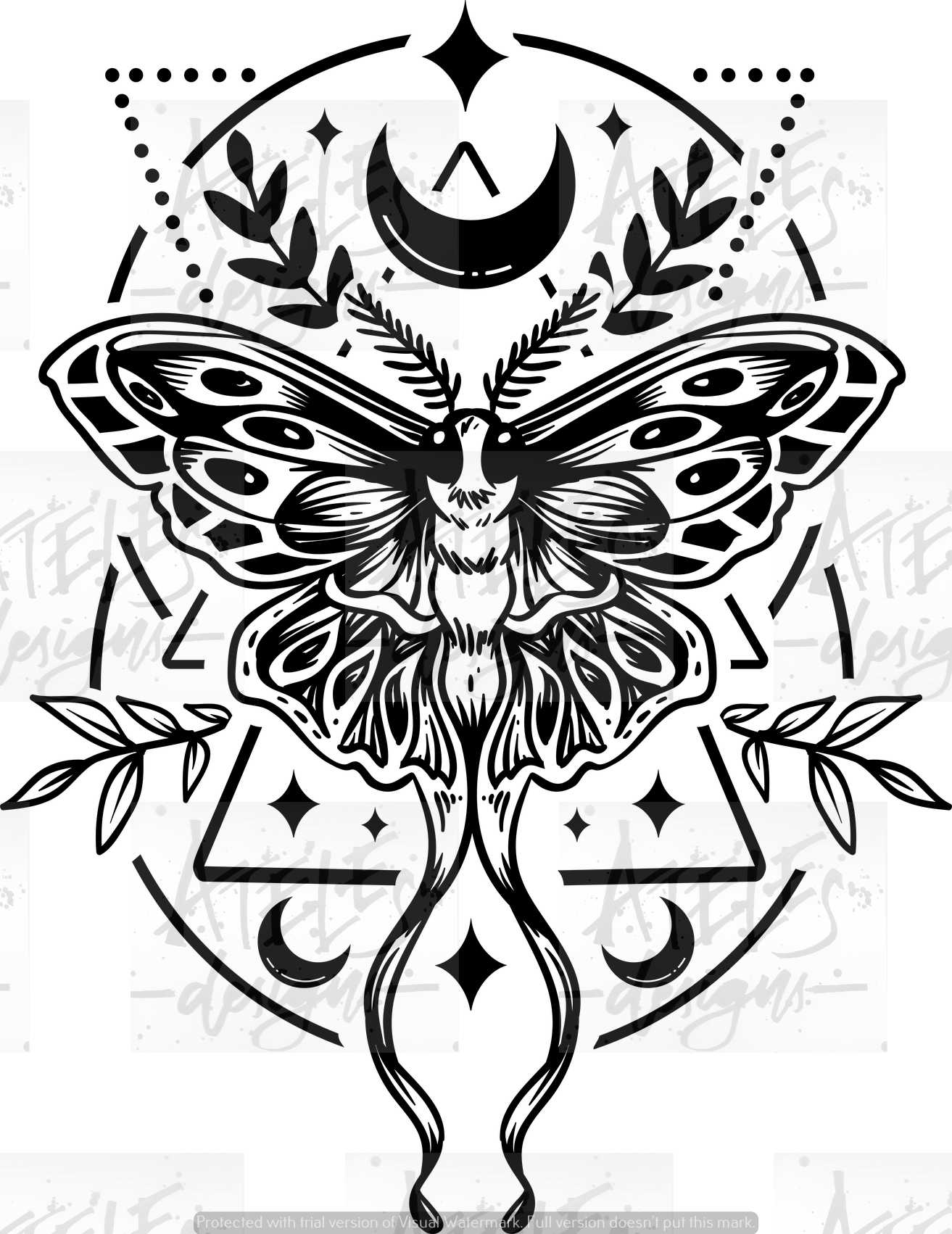 Geometric Frame Moth 